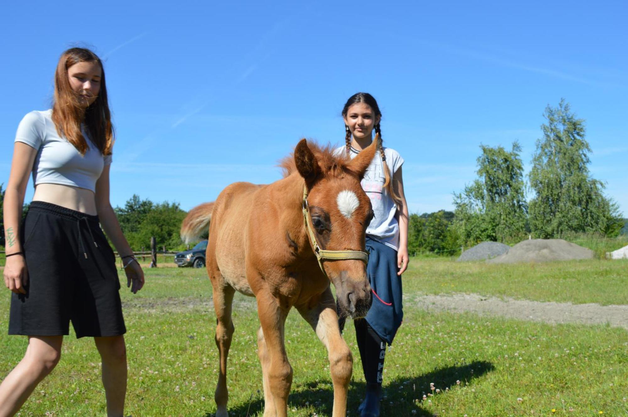 Bubla City Ranch Kopřivnice Екстериор снимка