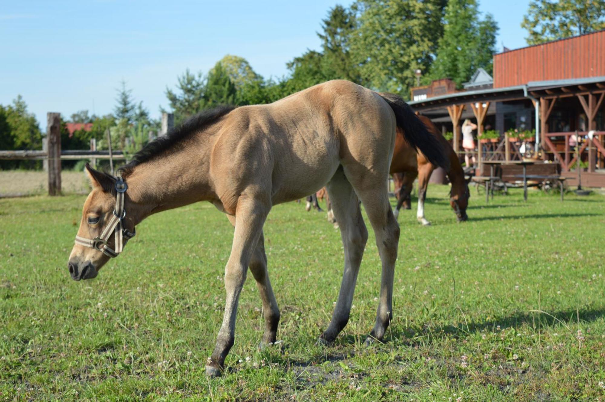 Bubla City Ranch Kopřivnice Екстериор снимка