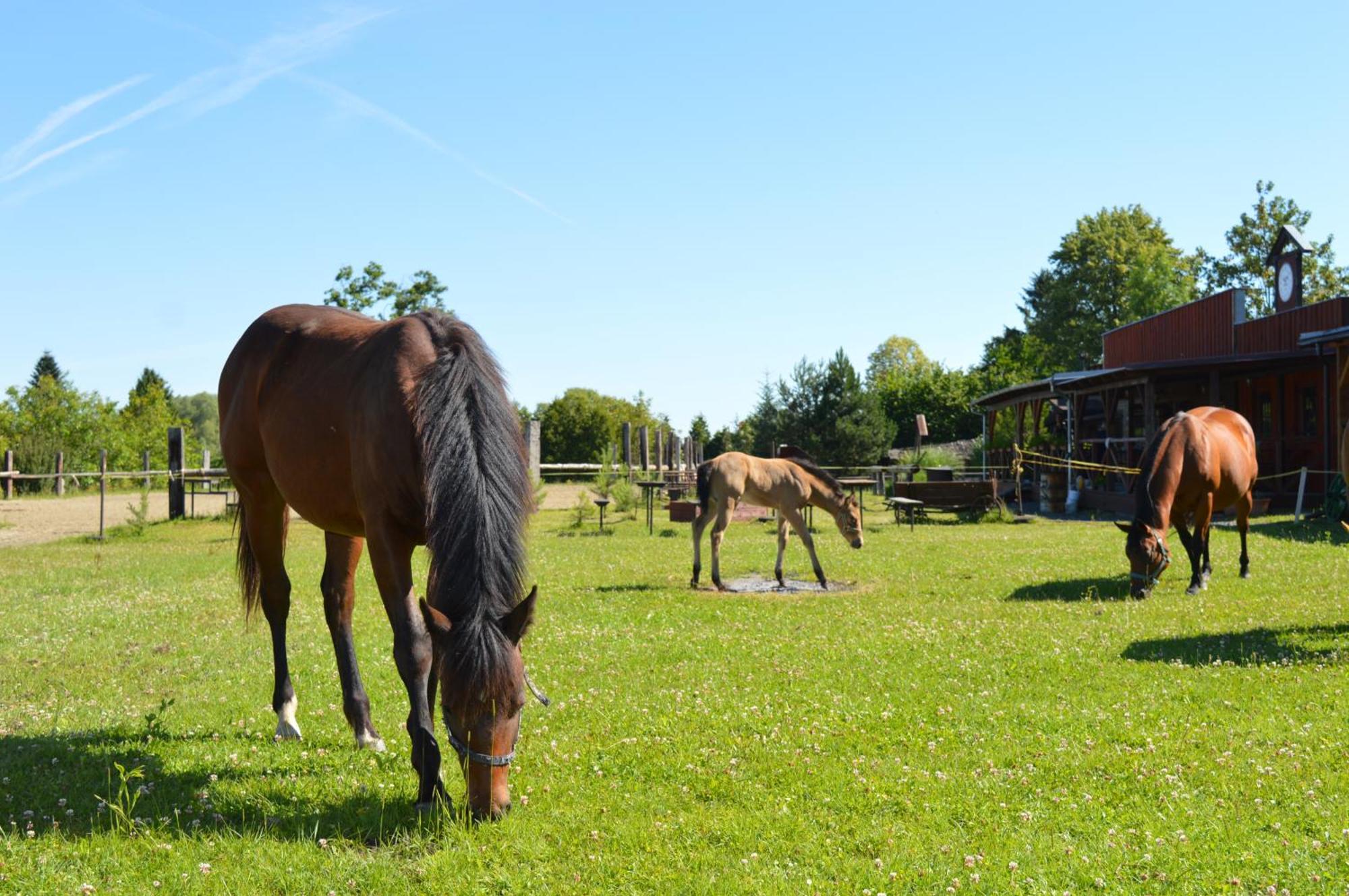Bubla City Ranch Kopřivnice Екстериор снимка